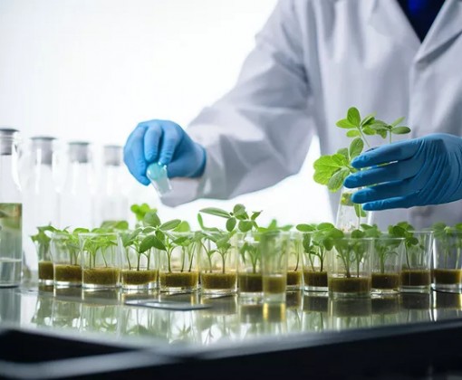 北京世纪科环生态农业研究院