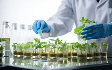 第三方实验室管理系统该如何选择？